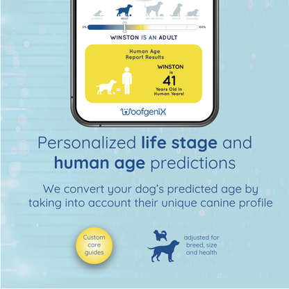 WoofAge - DNA Age Test