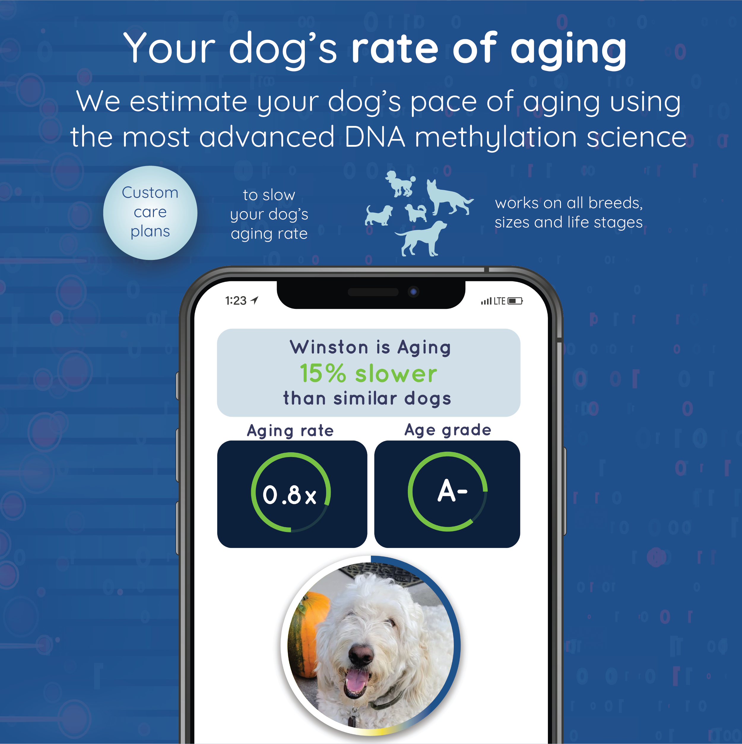 WoofSpan - Biological Age Test (Pre-Order)