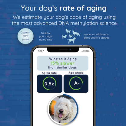 WoofSpan - Biological Age Test (Pre-Order)