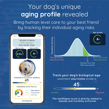 WoofSpan - Biological Age Test (Pre-Order)